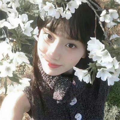 真正的家人 海报